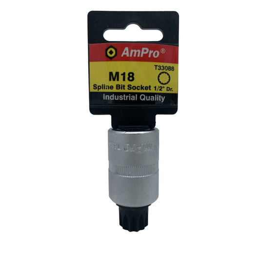 Copa pluridentada corta cuadrante 1/2" Ampro