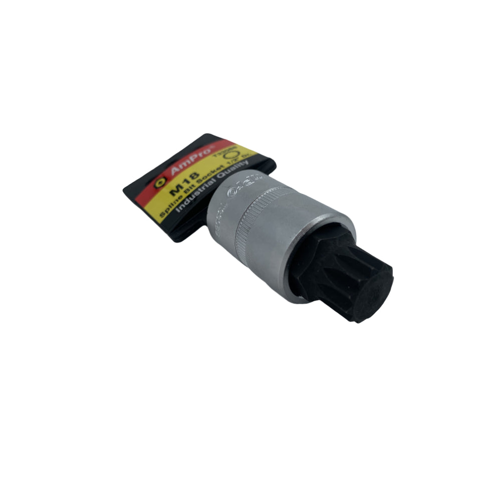 Copa pluridentada corta cuadrante 1/2" Ampro