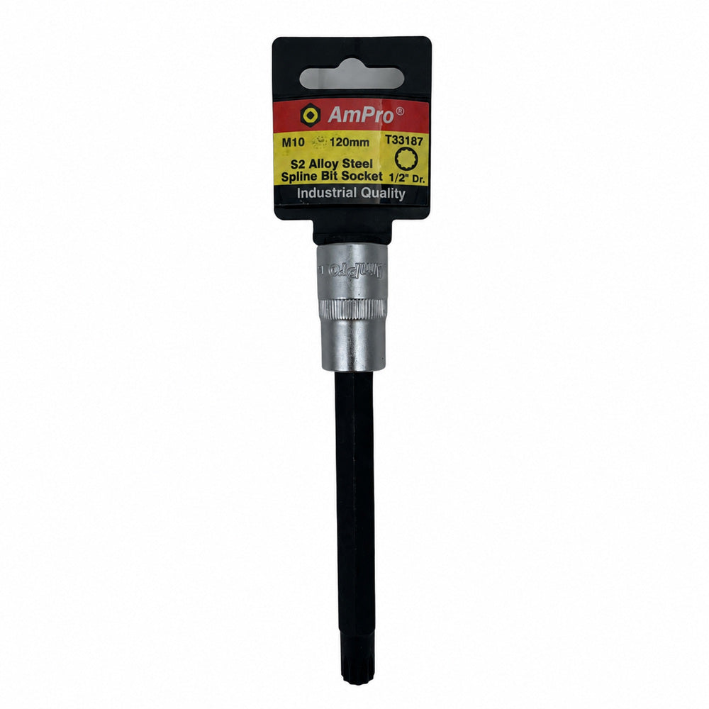 Copa pluridentada larga cuadrante 1/2" Ampro