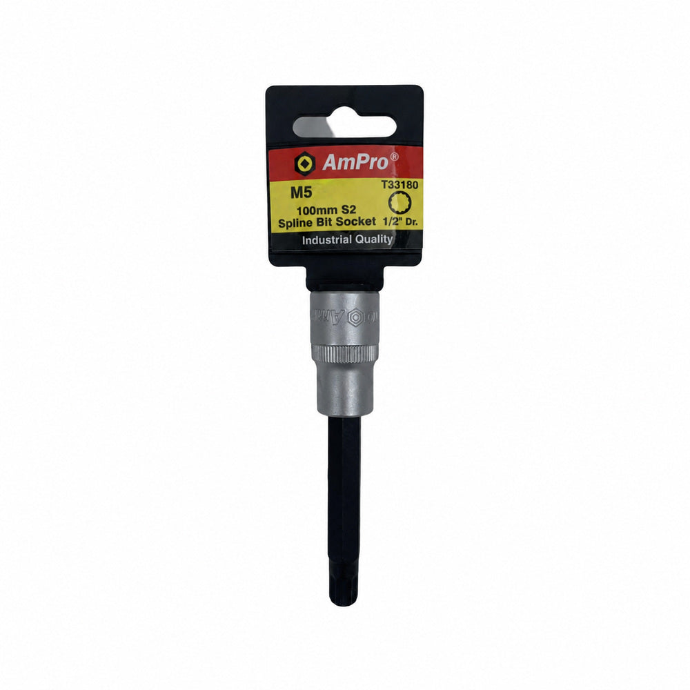 Copa pluridentada larga cuadrante 1/2" Ampro