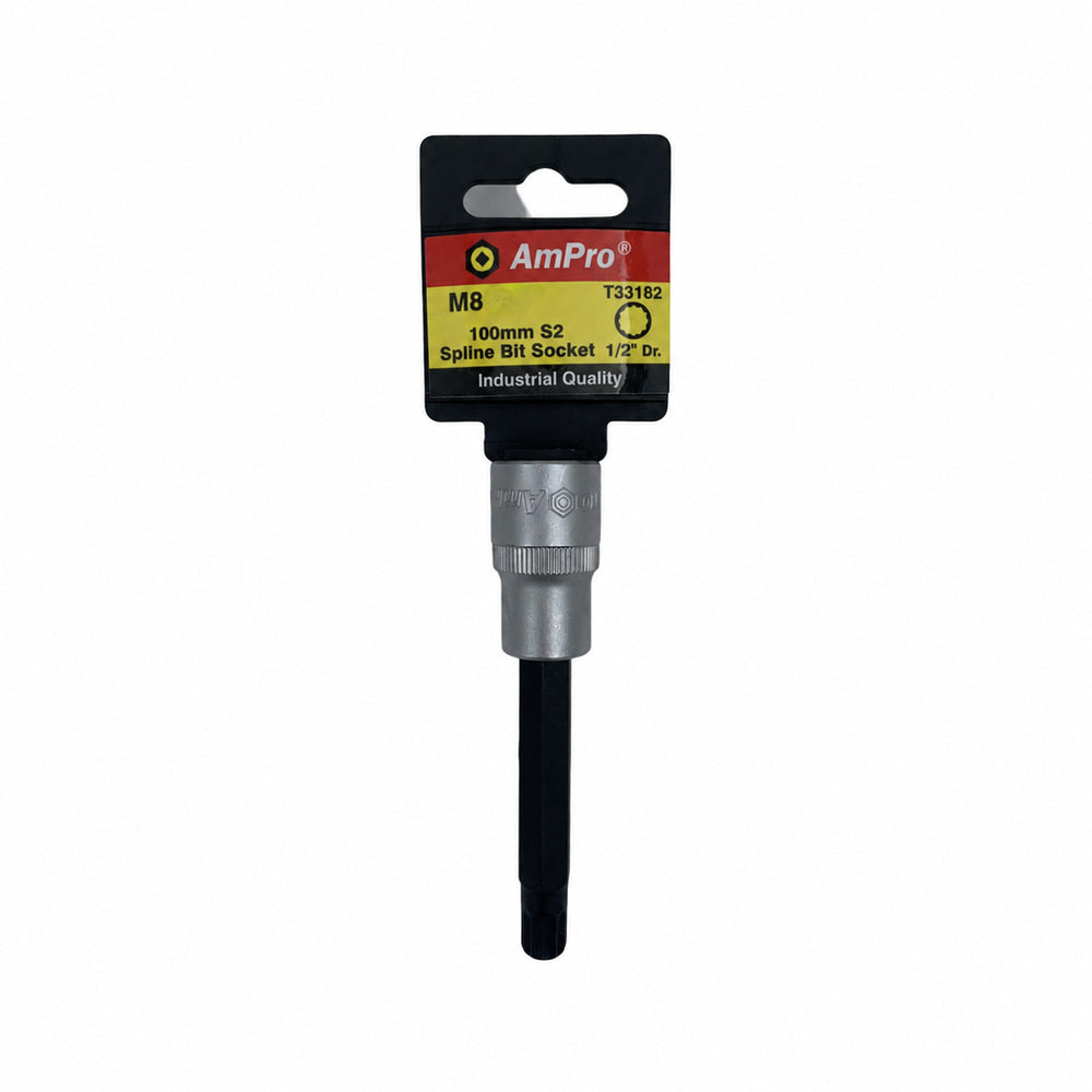 Copa pluridentada larga cuadrante 1/2" Ampro